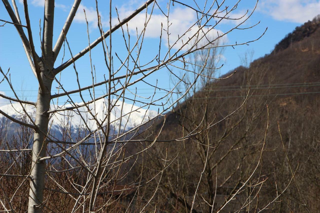 Appartamento Casa di gianni Primaluna Esterno foto