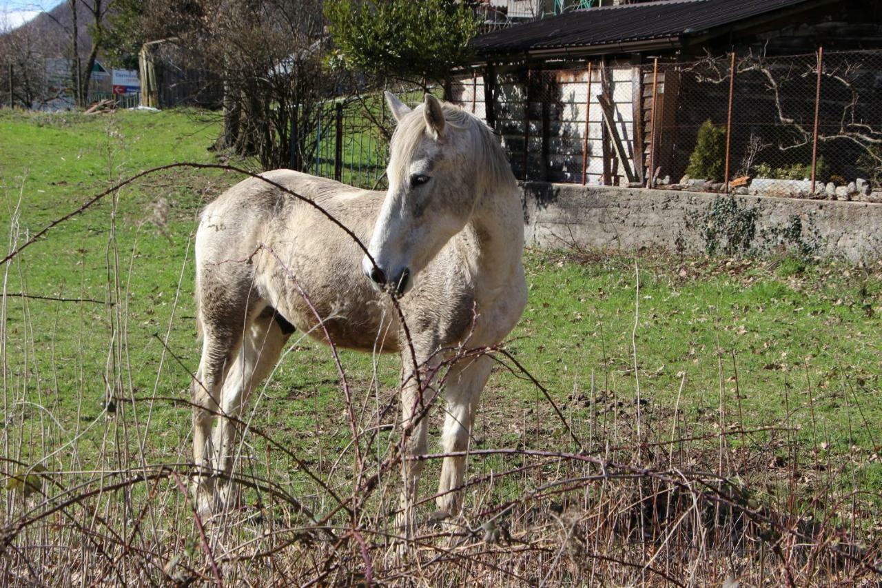 Appartamento Casa di gianni Primaluna Esterno foto